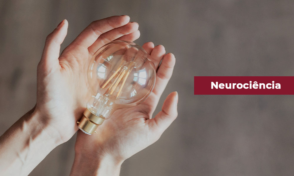 Neurociência, o que é e a sua importância na aprendizagem